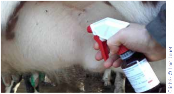 Présentielle : Aromathérapie en pratique rurale : niveau 2 mise en pratique le vendredi 14 octobre 2022 à 09h00 à Paris
