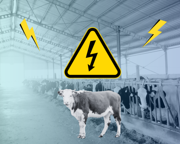 Présentielle : Visite « électricité » en élevage du jeudi 27 juin 2024 à 09h00 au jeudi 27 juin 2024 à 17h00 à Thonon-les-Bains
