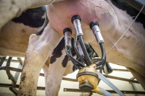 Présentielle : Comment conquérir une place sur le marché de l’hygiène de traite ? du jeudi 07 décembre 2023 à 09h00 au jeudi 07 décembre 2023 à 17h00 à Annecy