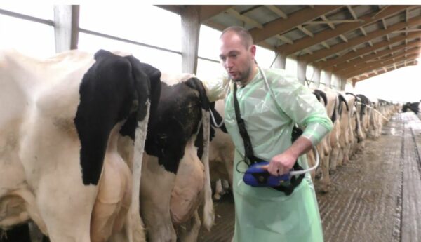 Présentielle : Suivi de reproduction en élevage laitier - Volet 1 - Formation co-développée avec Ceva Santé animale du mardi 05 octobre 2021 à 09h00 au mardi 05 octobre 2021 à 17h00 à Angers