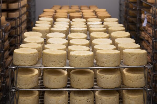 Présentielle : Accompagner les producteurs de fromage au lait cru du mardi 19 mars 2024 à 09h00 au mardi 19 mars 2024 à 17h00 à Saint-Flour
