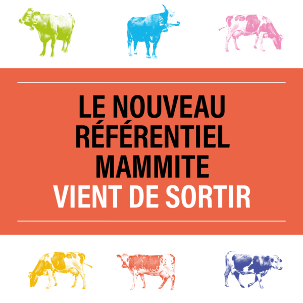 Présentielle : Comment traiter les mammites bovines en 2025 du lundi 10 mars 2025 à 09h00 au lundi 10 mars 2025 à 17h00 à Baraqueville