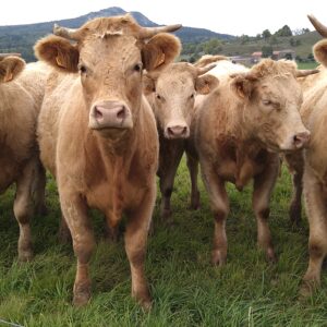 Téléformation : Transition agroécologique des systèmes alimentaires - 2ème volet du jeudi 05 février 2026 à 12h30 au jeudi 05 février 2026 à 14h00