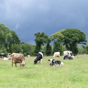 Téléformation : Cycle de formation à l'agroécologie du jeudi 23 avril 2026 à 12h30 au mardi 02 juin 2026 à 13h30