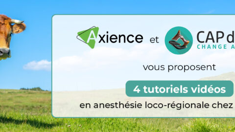 Bannière Axience, tous droits réservés