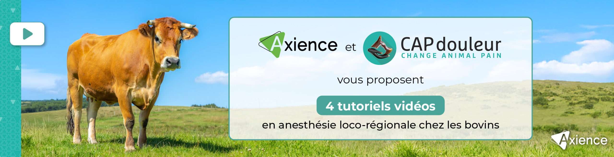 Bannière Axience, tous droits réservés
